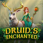 Druid`s Enchanted